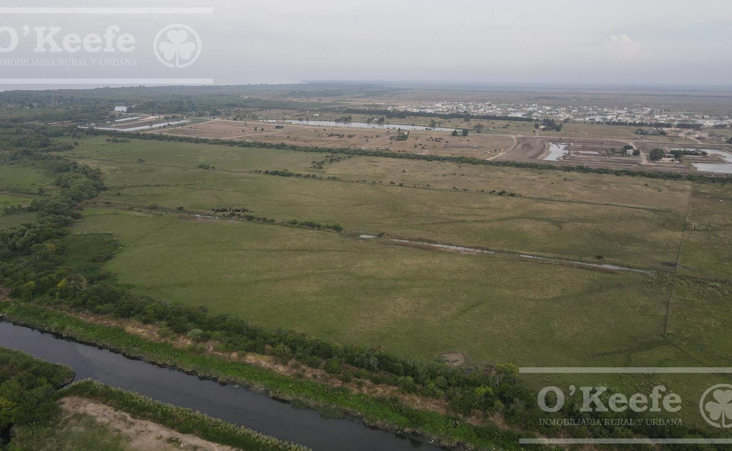 Foto de Tierra para desarrollo en venta de 126 Has en Berazategui, imagen 2