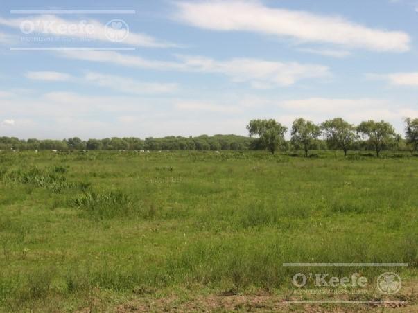 Foto de Tierra para desarrollo en venta de 126 Has en Berazategui, imagen 3