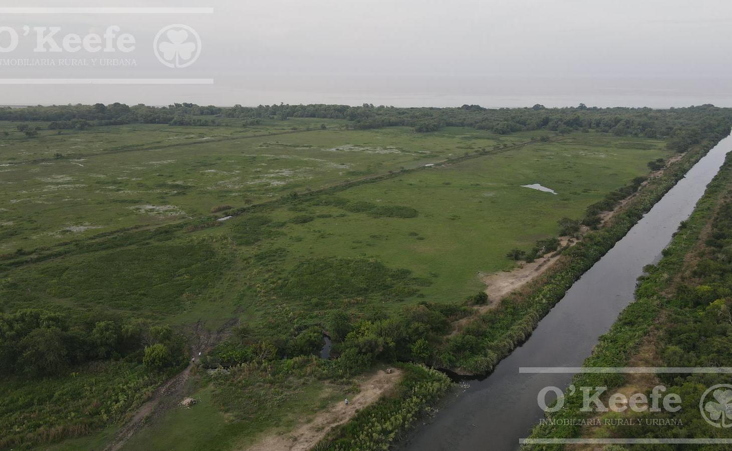 Foto de Tierra para desarrollo en venta de 126 Has en Berazategui, imagen 4