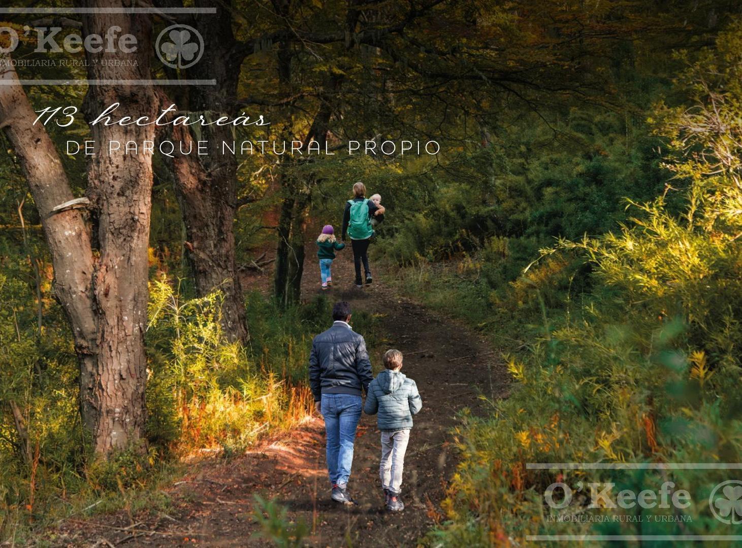 Foto de Terreno en venta - Cerro Lindo, en el centro de Bariloche., imagen 2