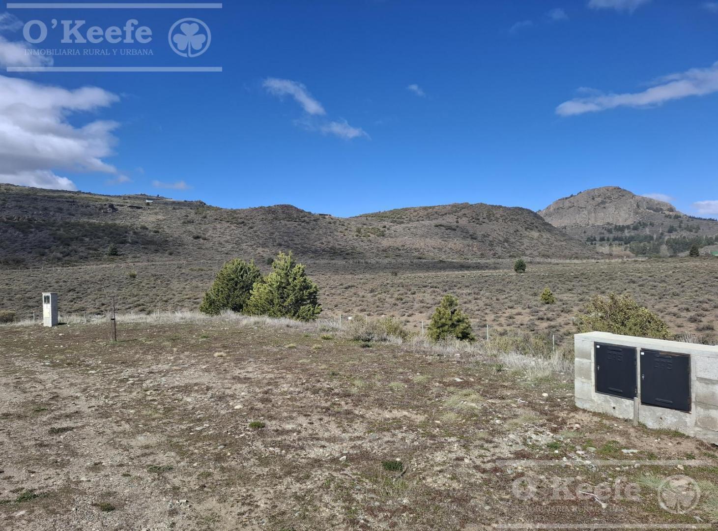 Foto de Terreno con vista a las montañas en Barrancas de Dina Huapi, imagen 5
