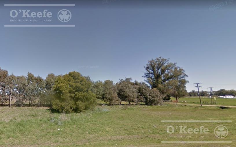 Foto de CAMPO de 34 HAS CON GRAN POTENCIAL DE DESARROLLO SOBRE RUTA 41, imagen 4