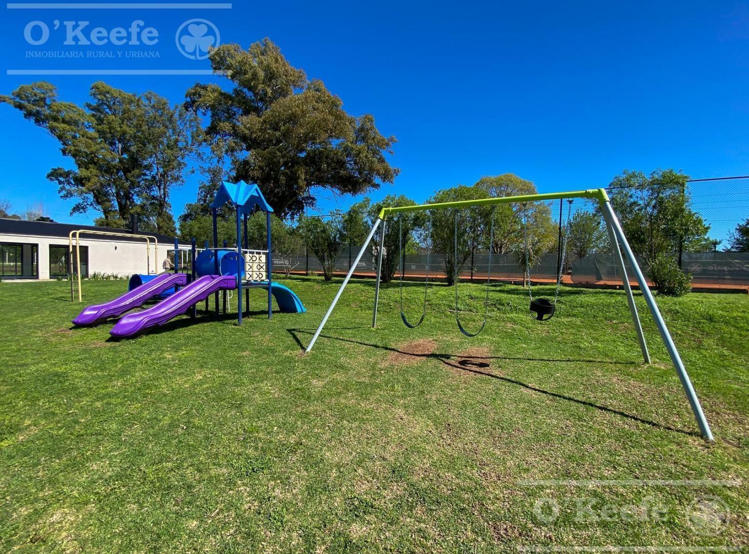 Foto de Excelente Lote a Laguna en San Juan Chico - Posesión inmediata, imagen 3