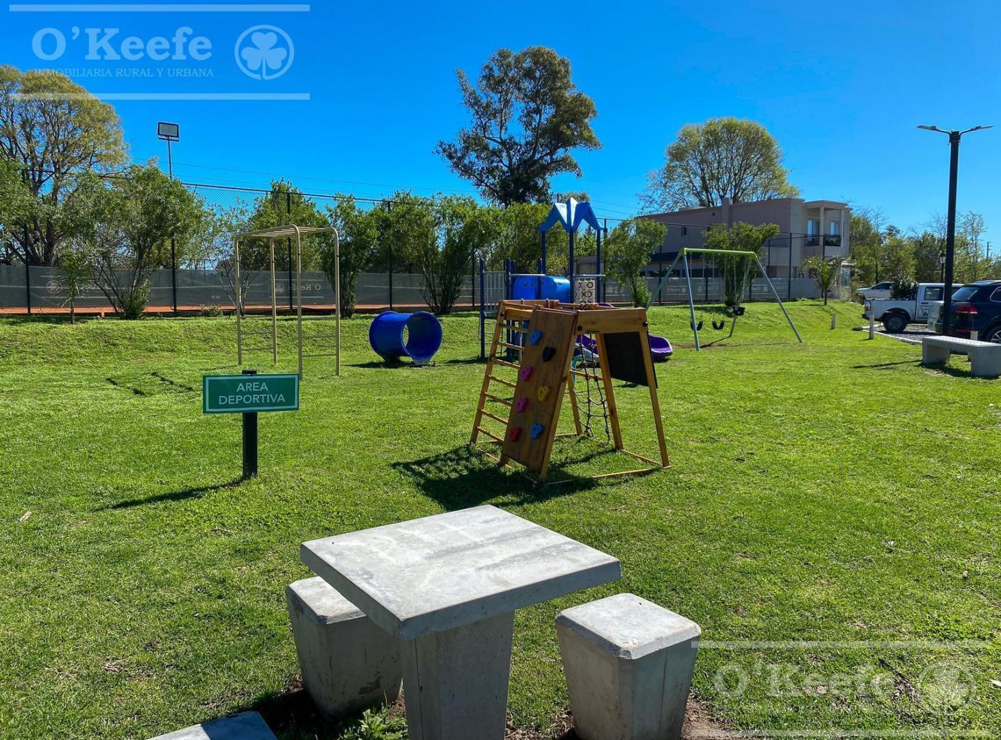Foto de Excelente Lote a Laguna en San Juan Chico - Posesión inmediata, imagen 4