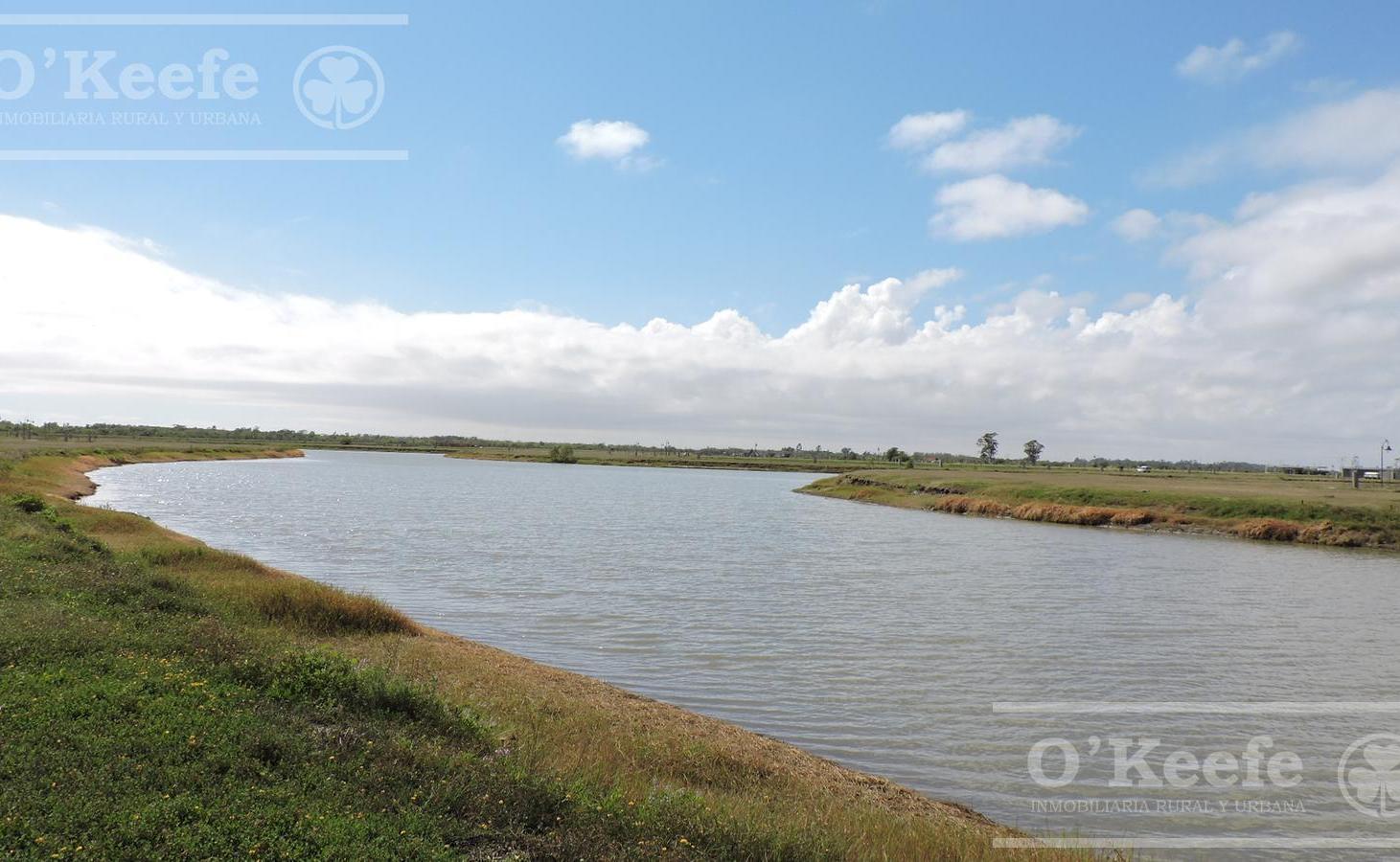 Foto de Lote en venta en Villalobos, Pueblos del Plata, Hudson. Financiado!, imagen 3
