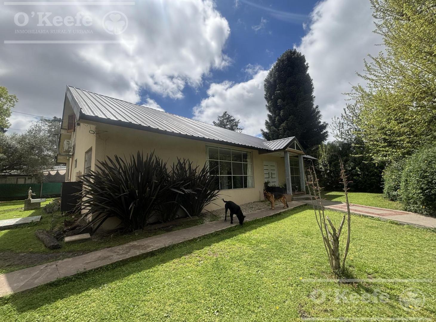 Foto de Quinta en venta- El Pato, Berazategui- Anticipo y dos años de, imagen 3