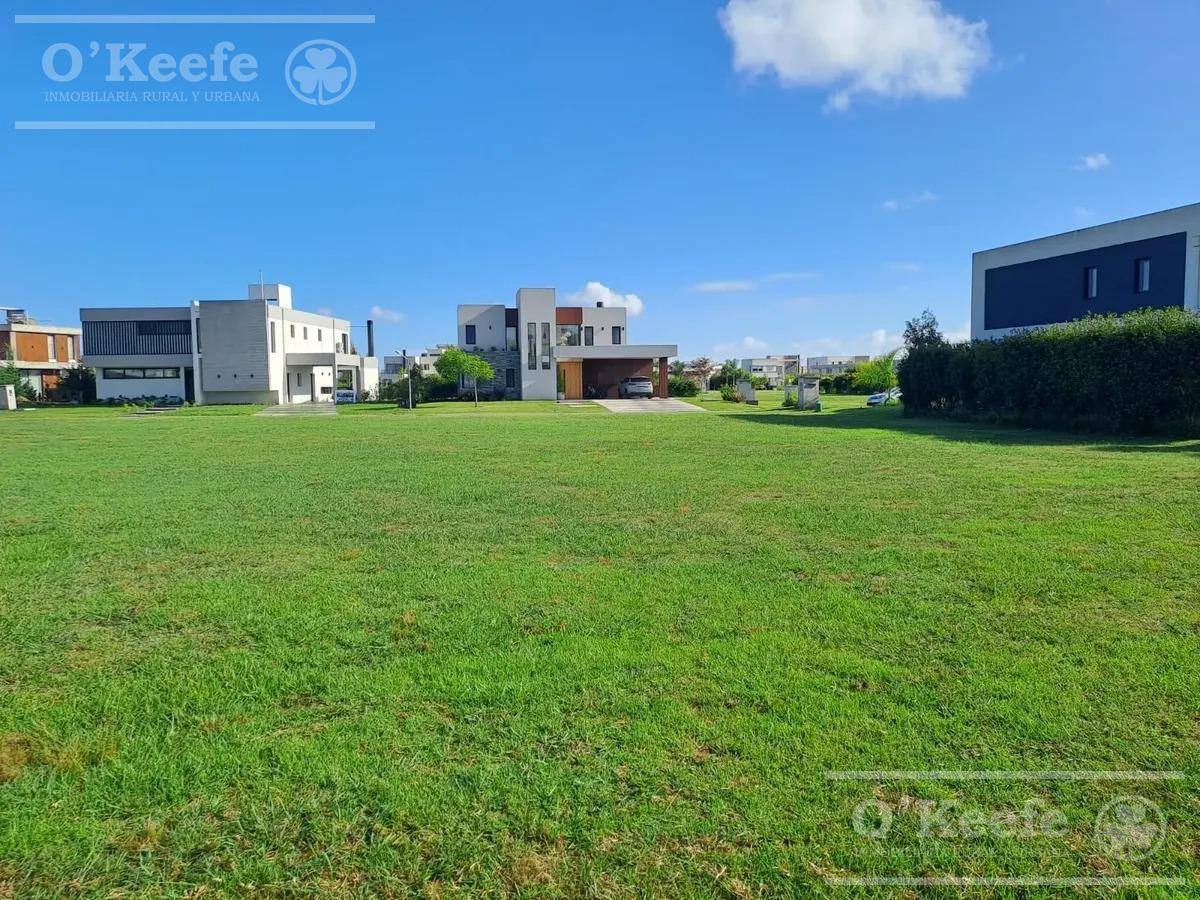 Foto de Terreno en venta Greenville Polo, imagen 4
