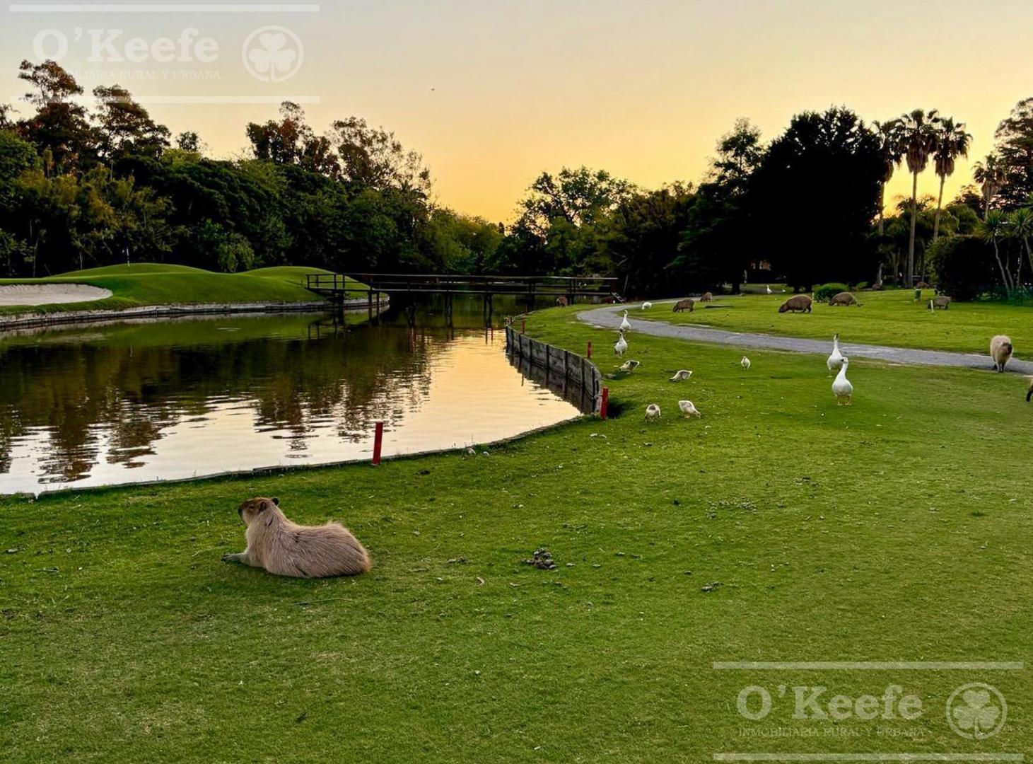 Foto de Lote en venta en Abril Club de Campo, Guillermo Hudson, imagen 3