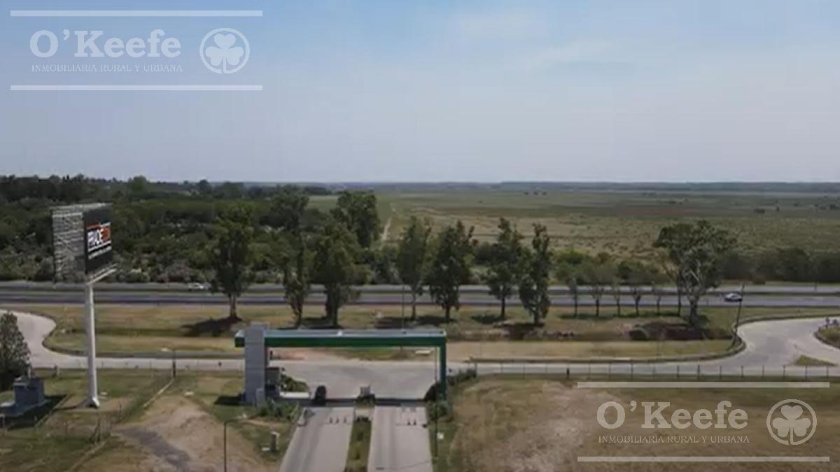 Foto de LOTES EN VENTA PARQUE INDUSTRIAL ESCOBAR ZONA NORTE- SOBRE RUTA 9!!, imagen 5