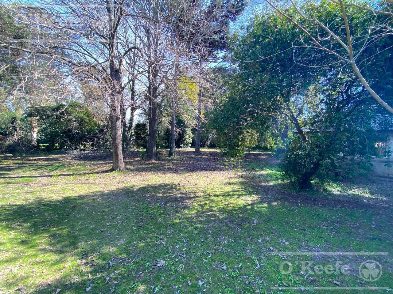 Foto de Terreno en venta de 2.000mts sobre Camino Gral. Belgrano - Gutierrez, imagen 5