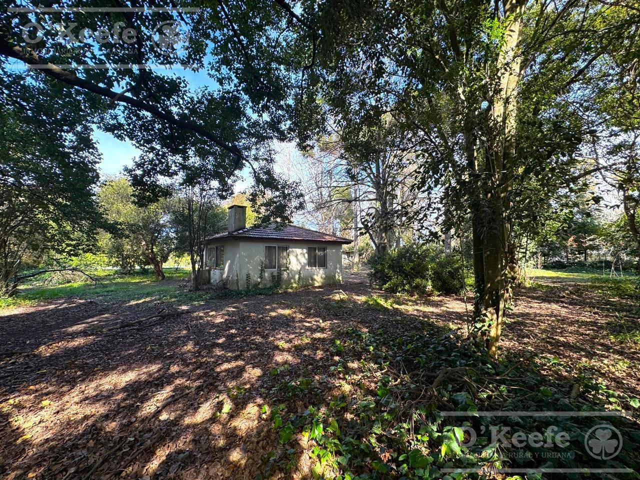 Foto de Terreno en venta de 2.000mts sobre Camino Gral. Belgrano - Gutierrez, imagen 2