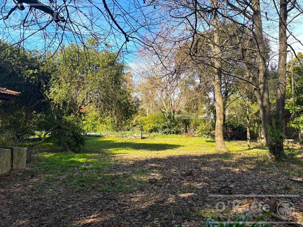 Foto de Terreno en venta de 2.000mts sobre Camino Gral. Belgrano - Gutierrez, imagen 1