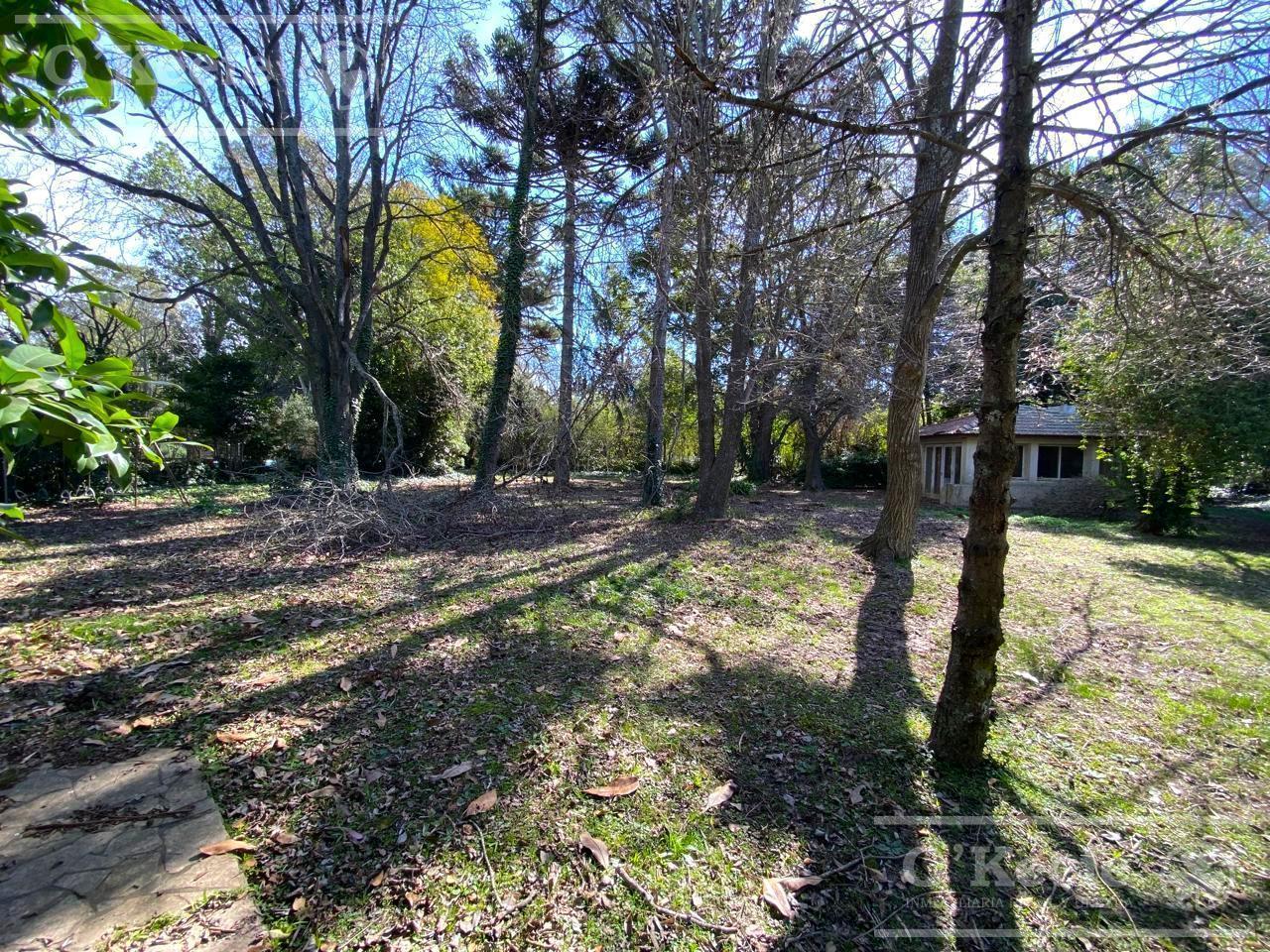 Foto de Terreno en venta de 2.000mts sobre Camino Gral. Belgrano - Gutierrez, imagen 4