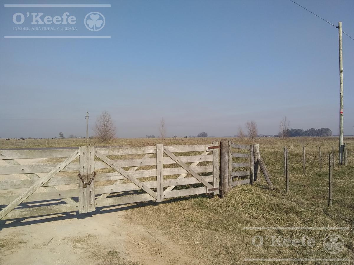 Foto de Campo Ganadero de 165 Has - Sobre Ruta - Ranchos, imagen 4
