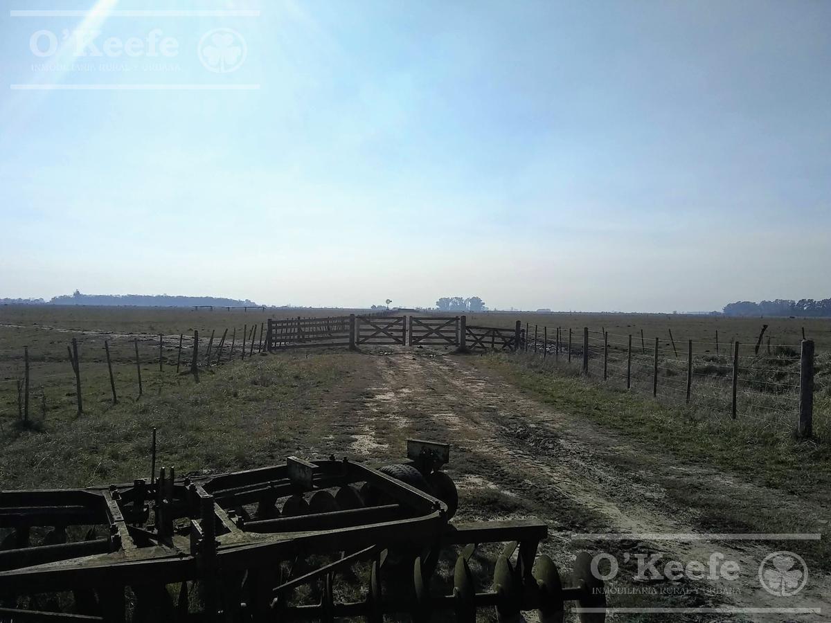 Foto de Campo Ganadero de 165 Has - Sobre Ruta - Ranchos, imagen 2