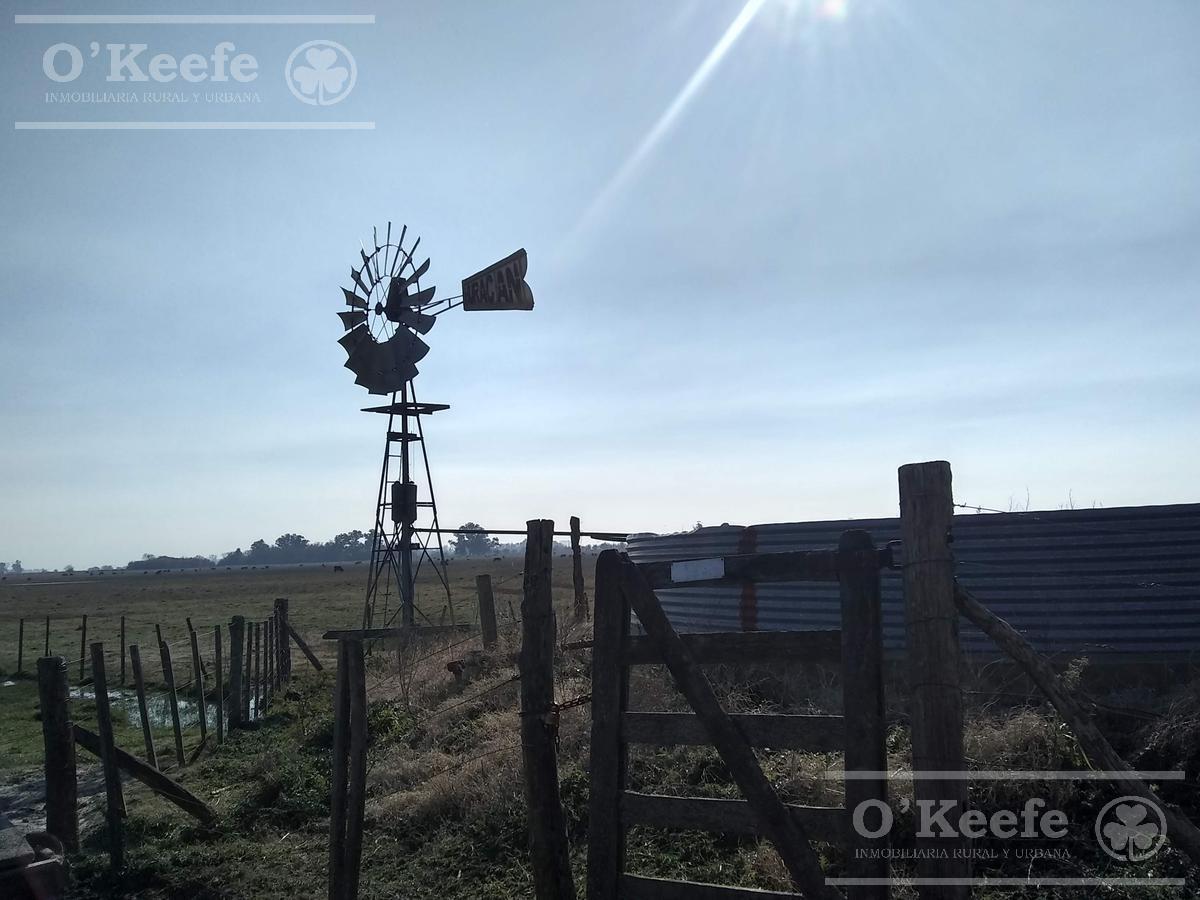 Foto de Campo Ganadero de 165 Has - Sobre Ruta - Ranchos, imagen 5
