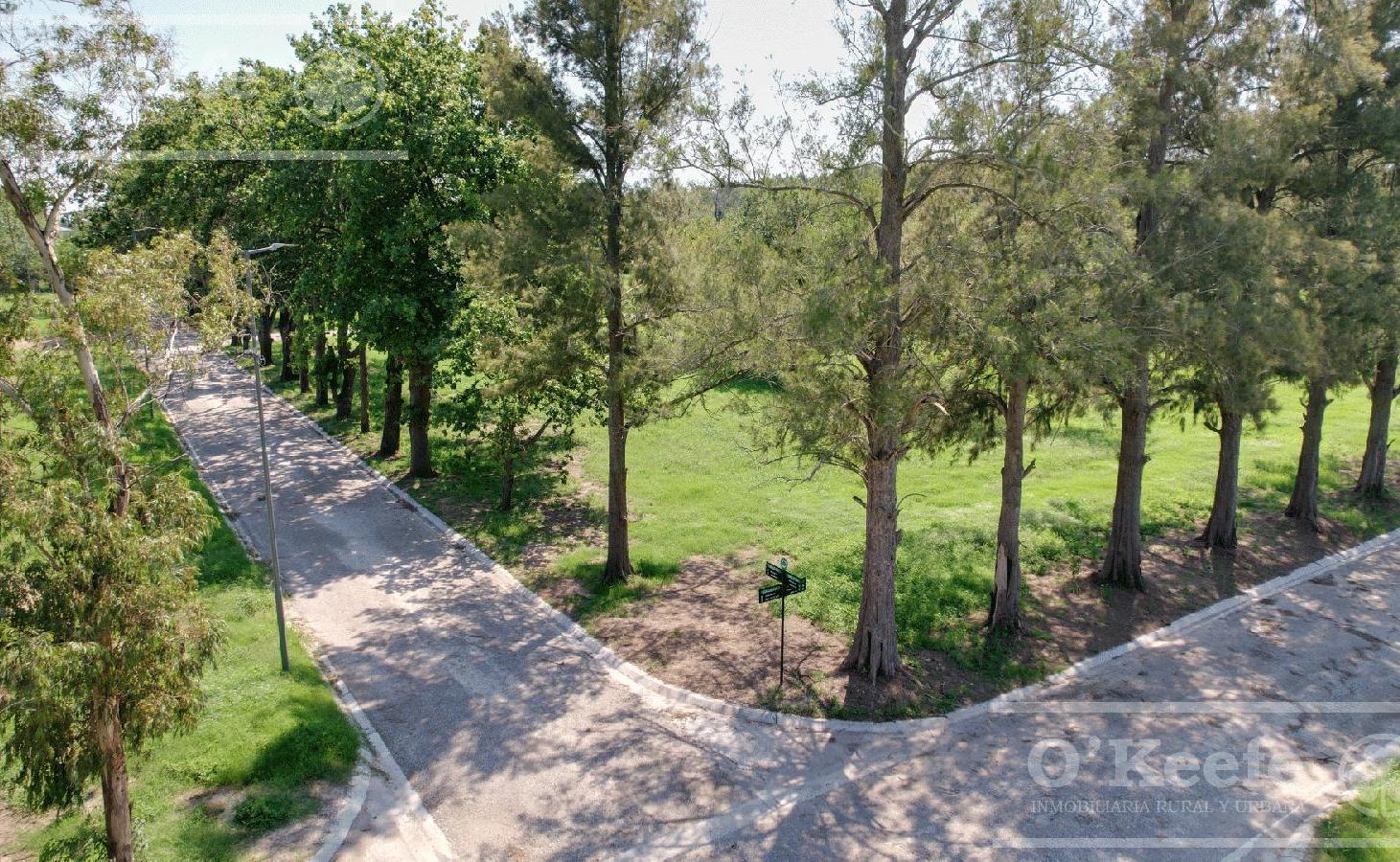Foto de Lote en Venta, El Pato, Barrio residencial Los Cedros, imagen 2
