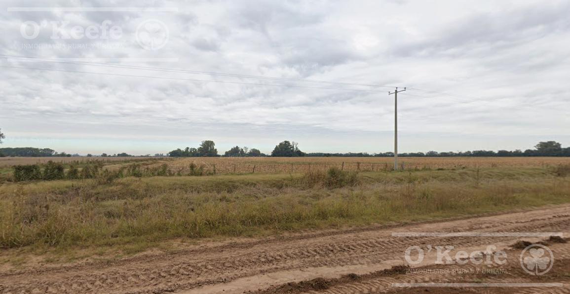 Foto de Chacra en venta de 29 has en Mercedes, imagen 3