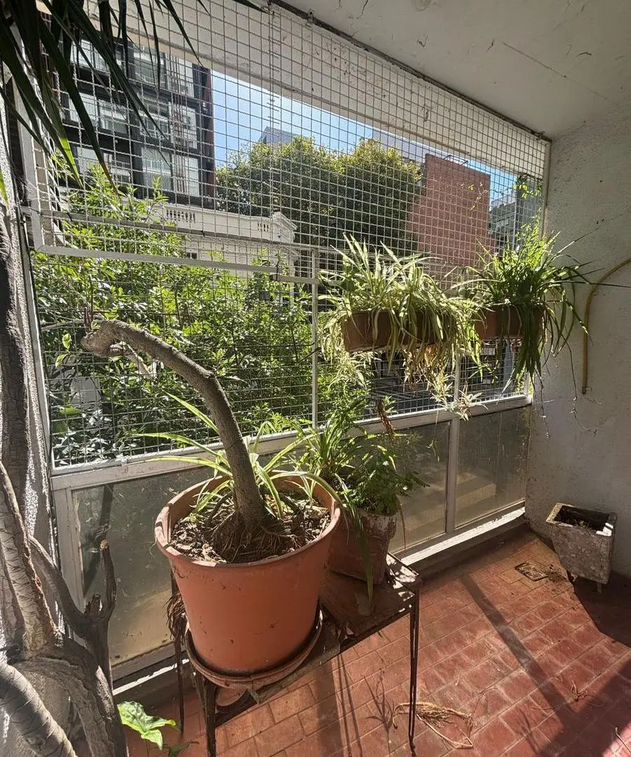 Precioso 3 ambientes con patio y parrilla. Unico!!! Thames 2100 5