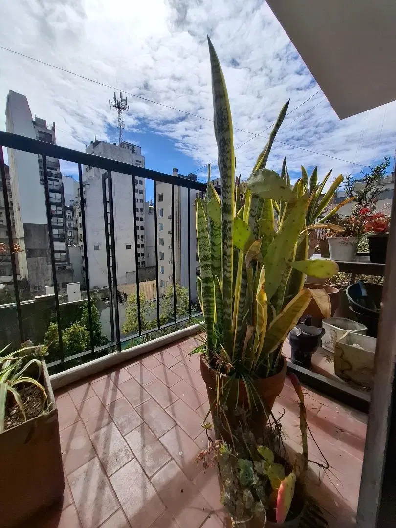 Piso alto, edificio en torre, mucha luz y zona privilegiada 4