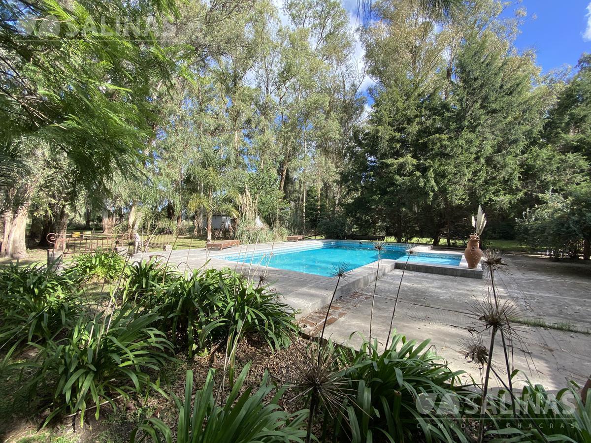 Foto de 3 Casas y pileta en Parada Robles, imagen 2