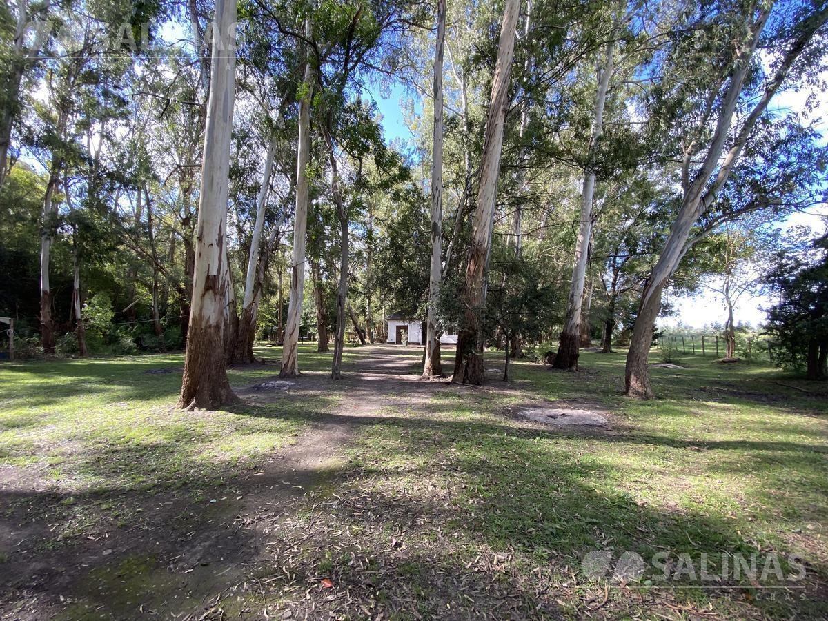 Foto de 3 Casas y pileta en Parada Robles, imagen 4