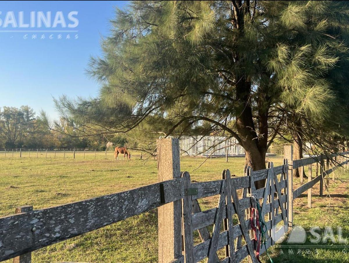 Foto de 7 Lotes en Haras El Malacate., imagen 4