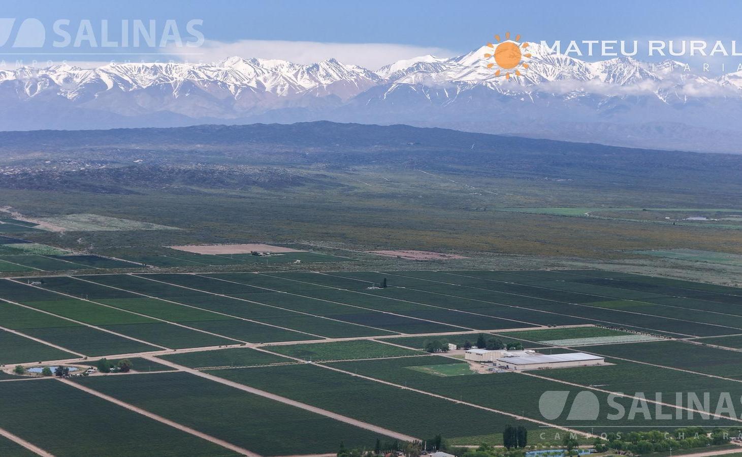 Foto de Finca con viñedos en Ugarteche, imagen 3