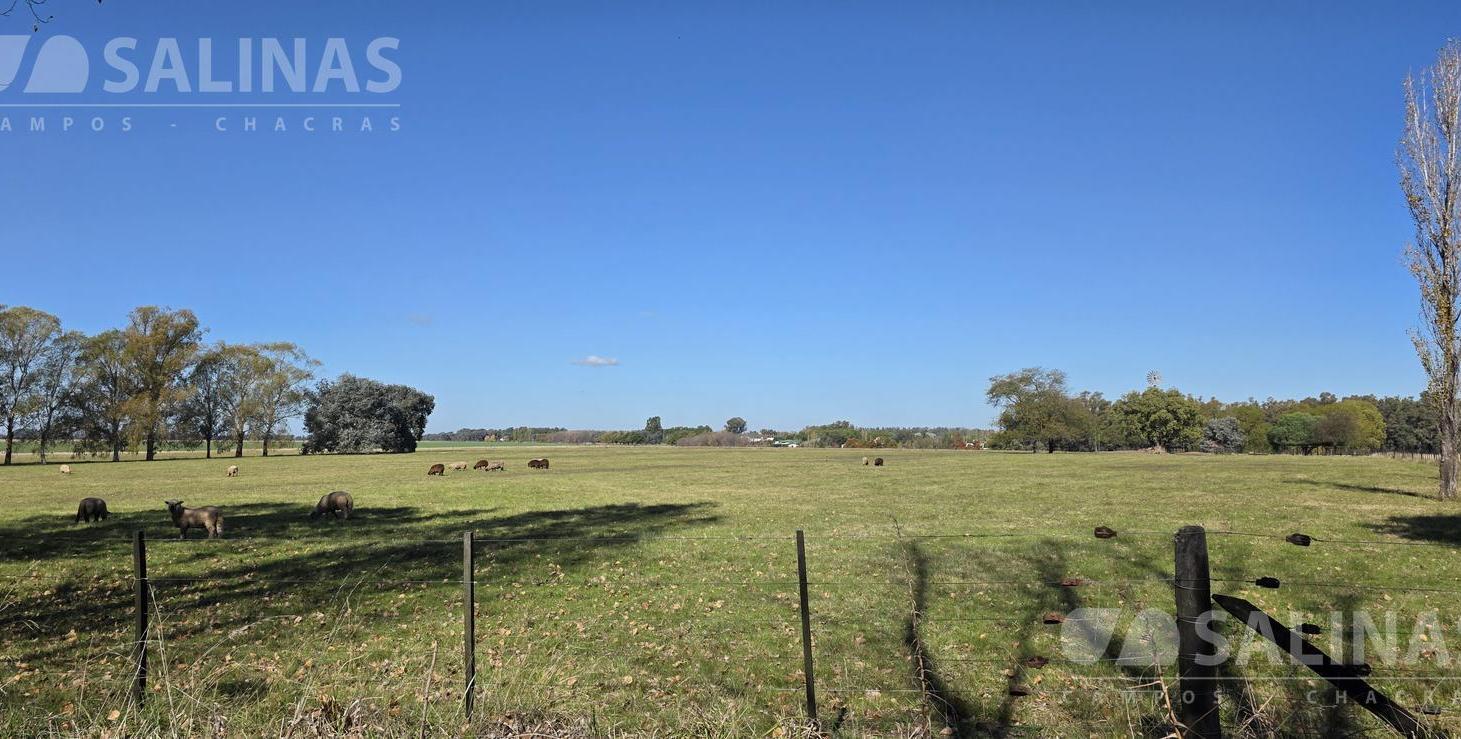 Chacra alomada en Capilla del Señor