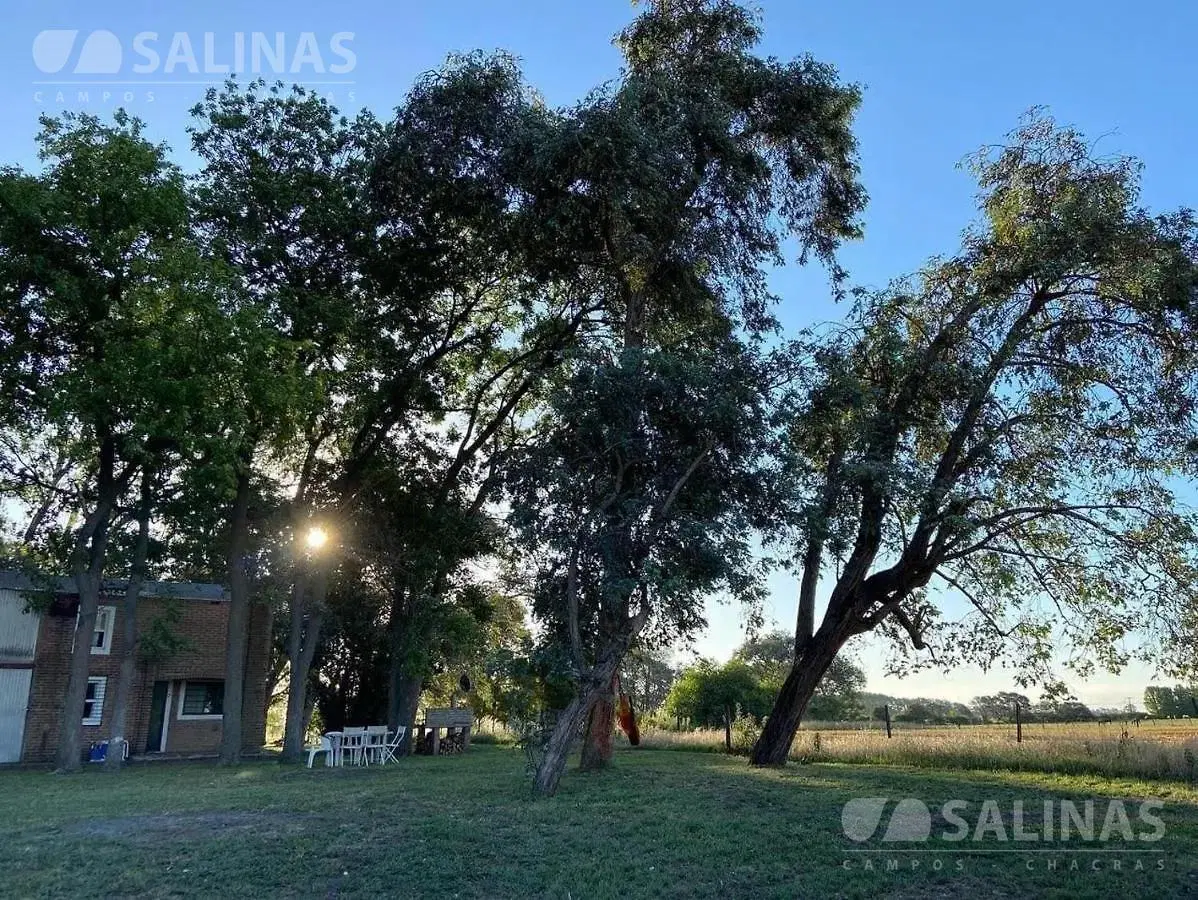 Campo agrícola en Torres, Luján 8