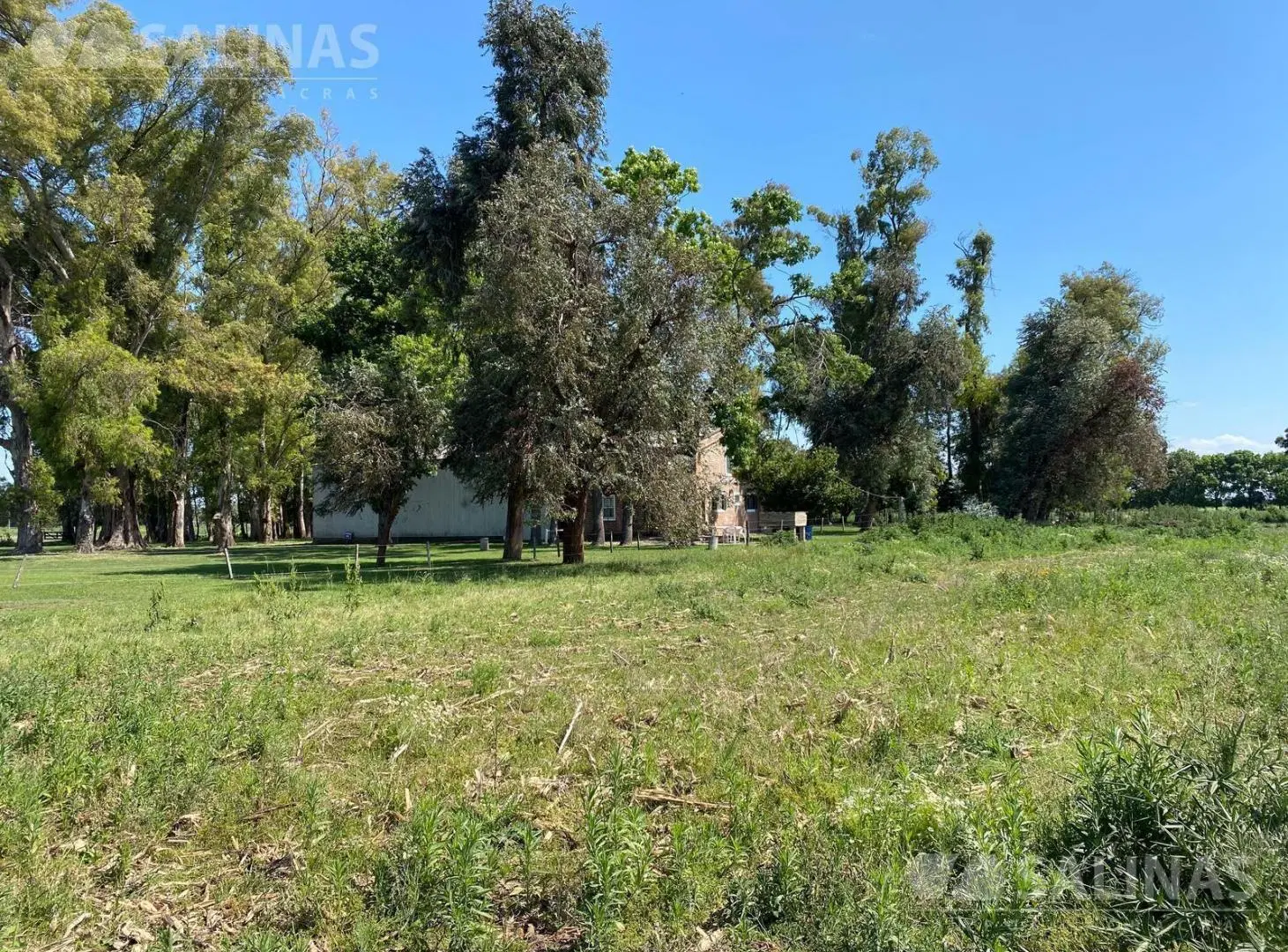 Campo agrícola en Torres, Luján 2