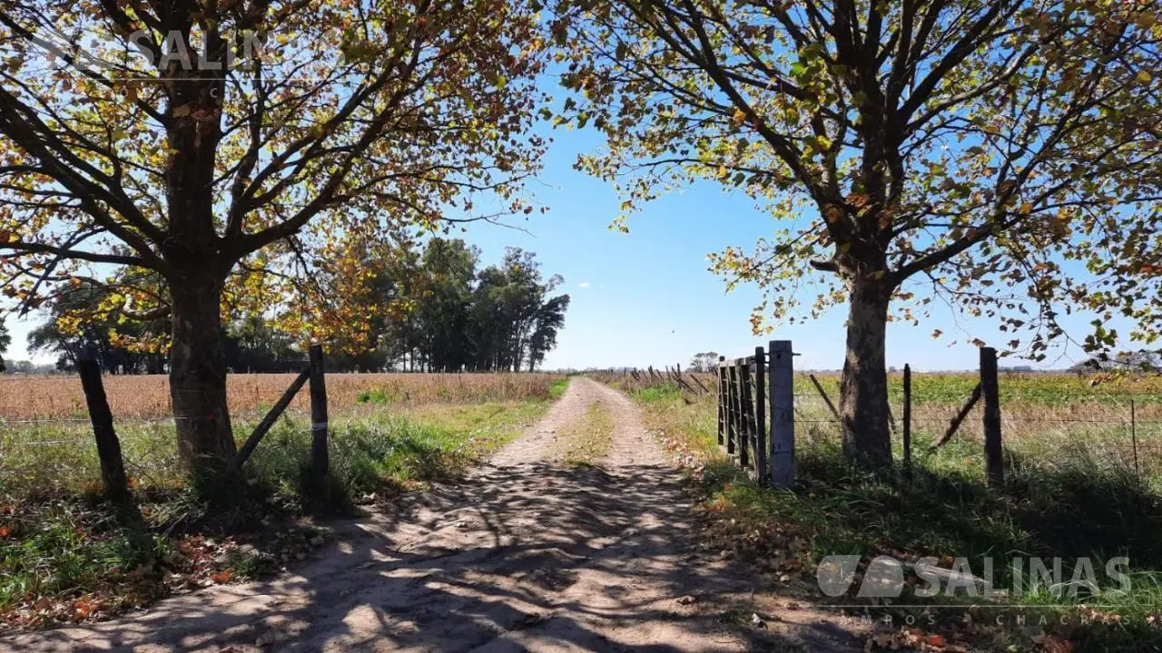 Campo agrícola en Torres, Luján 5