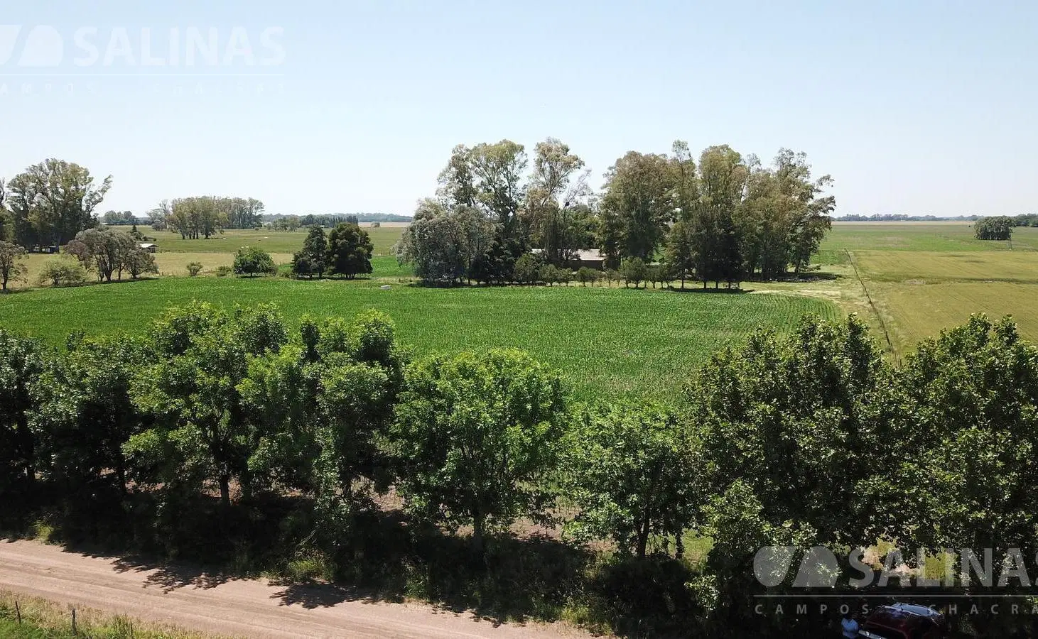 Campo agrícola en Torres, Luján 4
