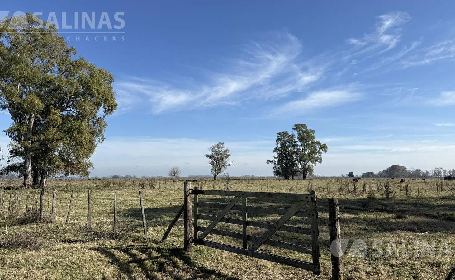 110 Has. Campo Ganadero en Mercedes 8