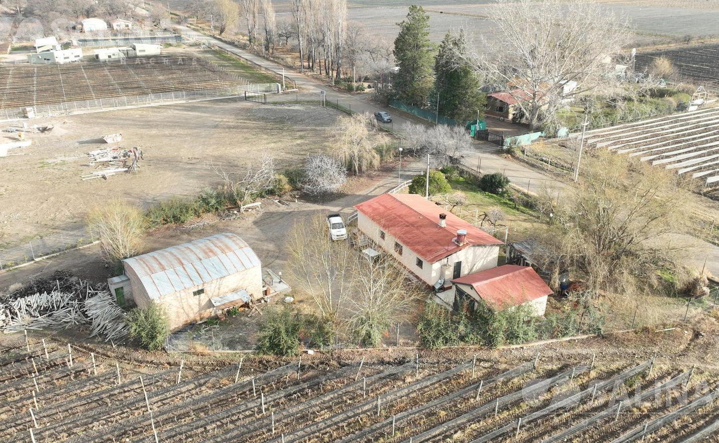 Foto de 6 Has. Finca en Tupungato con viñedos Malbec., imagen 4