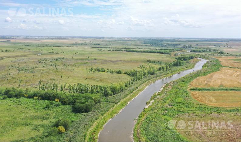 Foto de Campo productivo con casco y parque en Baradero, imagen 4