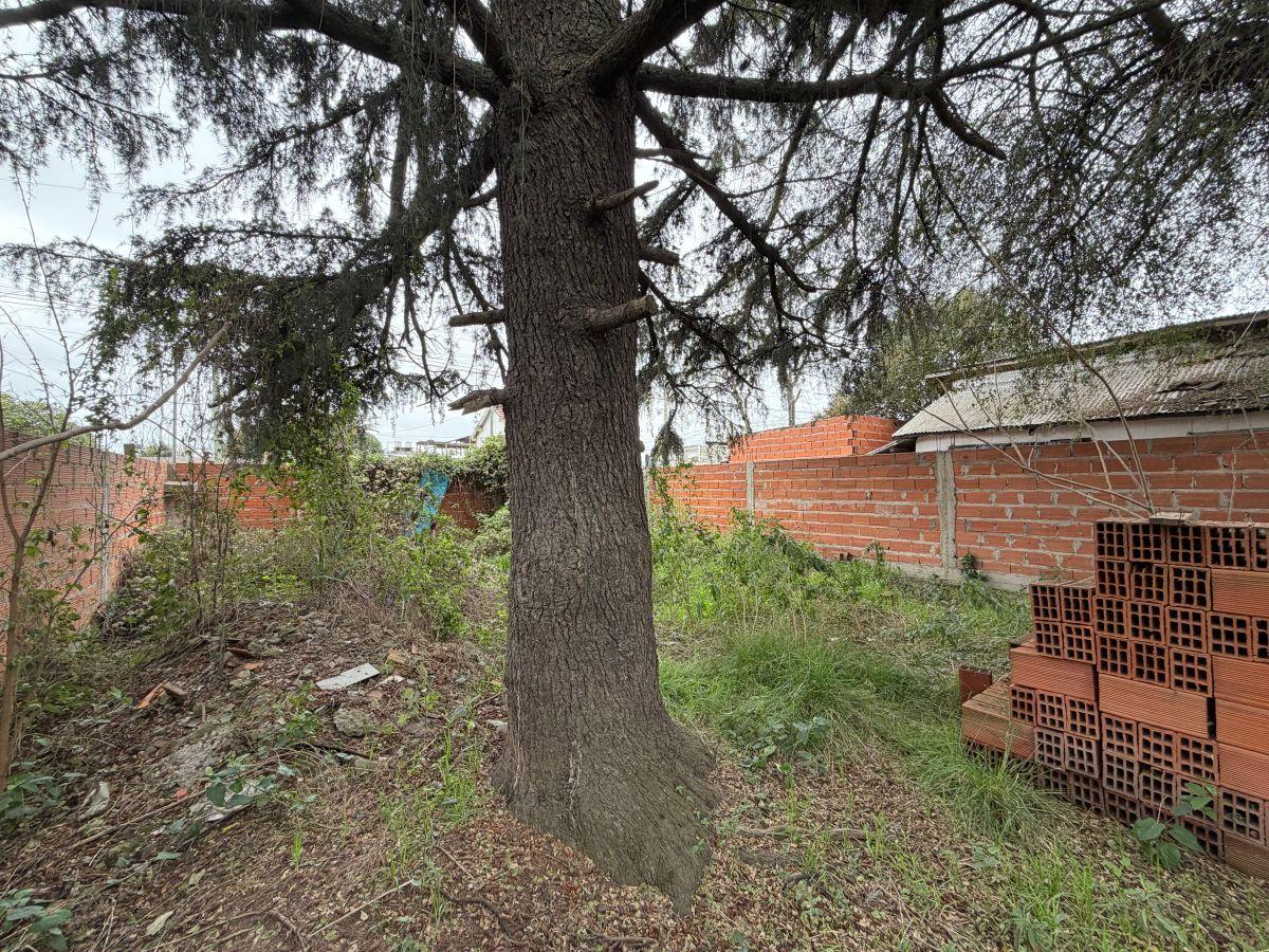 Foto de Terreno de 300 m² en venta en Llavallol, imagen 4