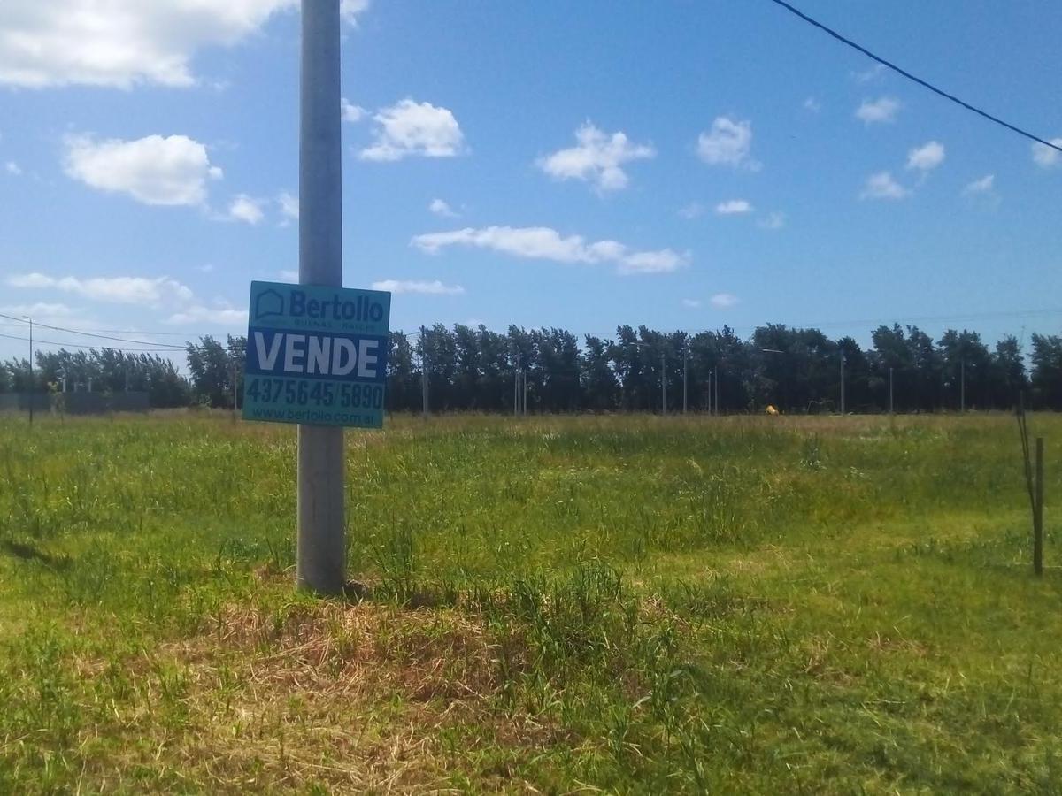 Foto de VENTA-Terreno en PUEBLO ESTHER-BARRIO ABIERTO PALO ALTO, imagen 2
