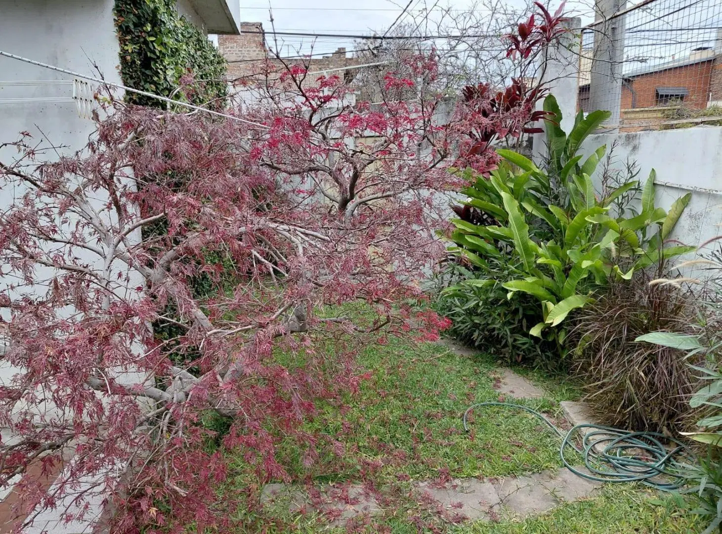 VENTA - CASA - 2 DORMITORIOS - FOREST 5492 - AZCUENAGA - ROSARIO 2