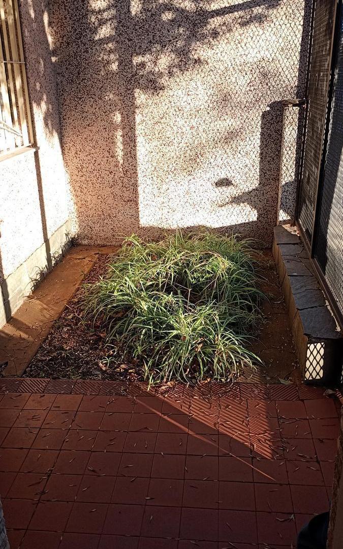 Foto de Casa en Belgrano, imagen 3