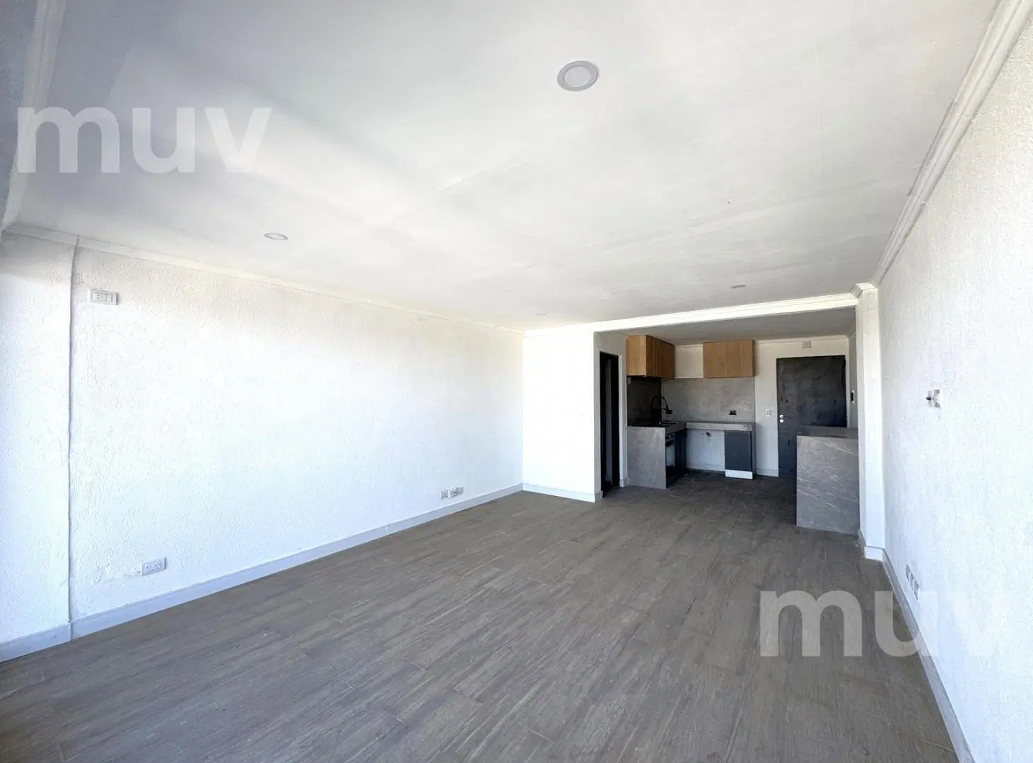 Av. Triunvirato 2800 - Monoambiente en Venta en Villa Ortúzar Apto Profesional 4