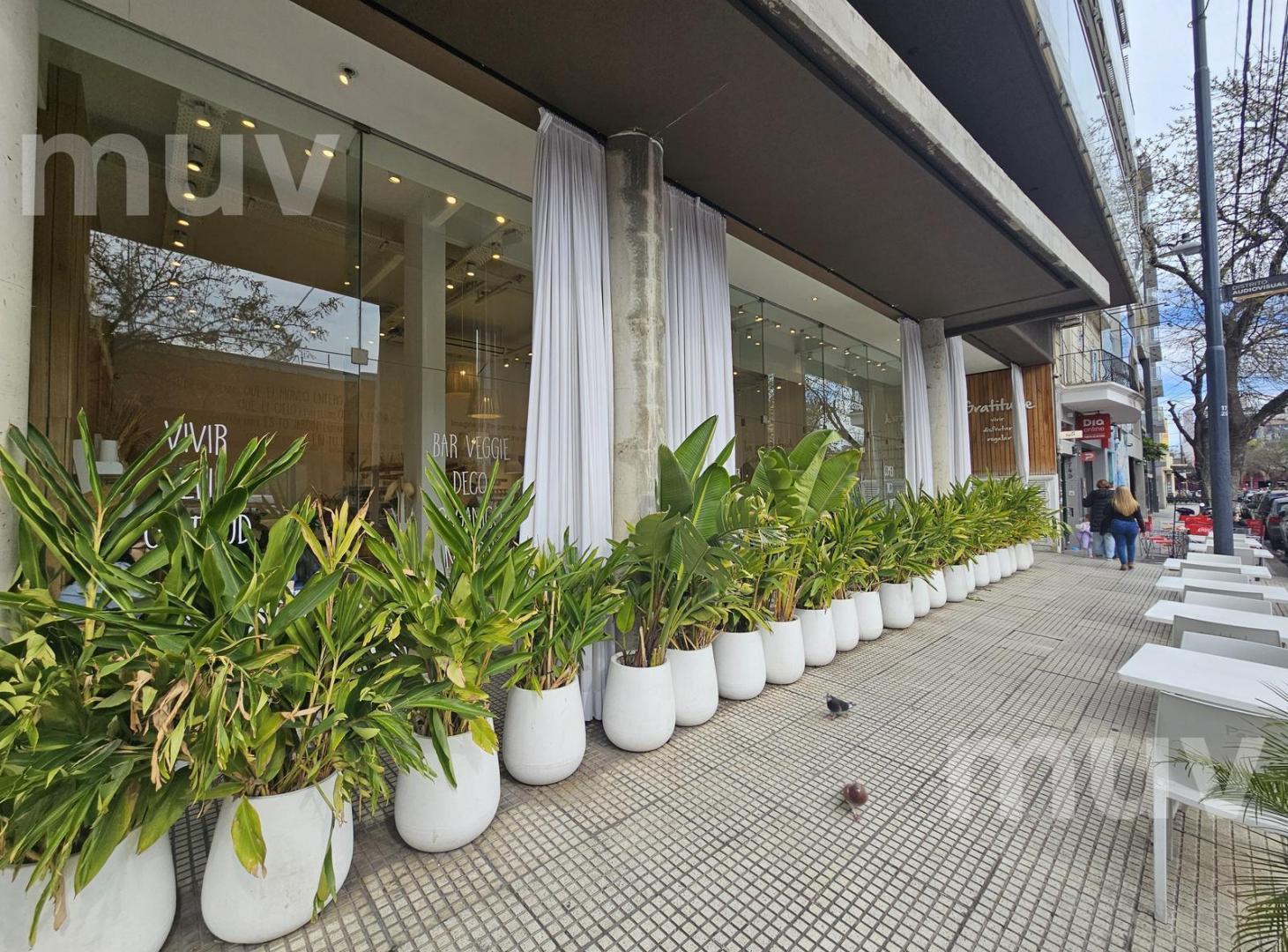 Foto de Av. Dorrego 1700 - Local Comercial en Venta en Palermo Hollywood, imagen 5