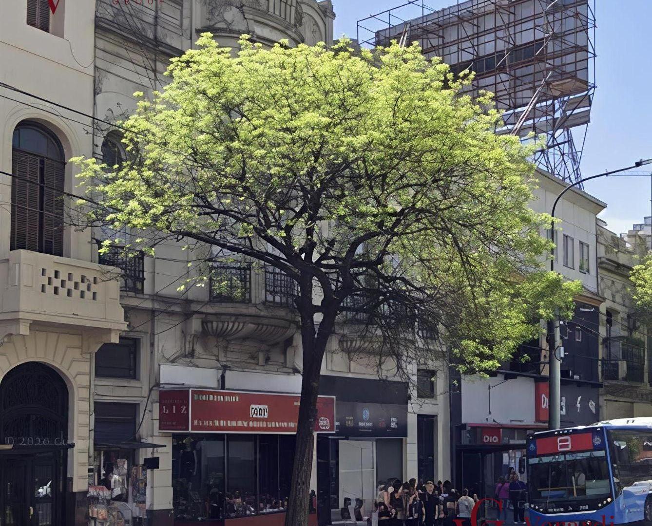 Foto de Local en Almagro, imagen 2