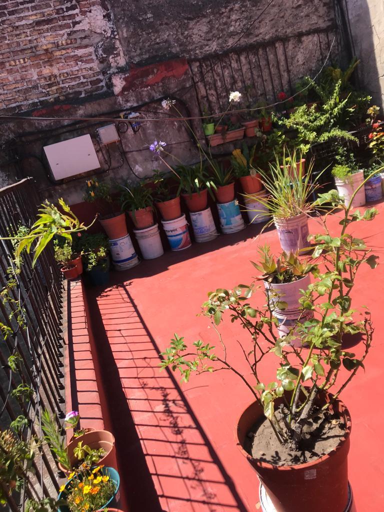 Tipo Casa 4 Ambientes Baulera con Terraza 3