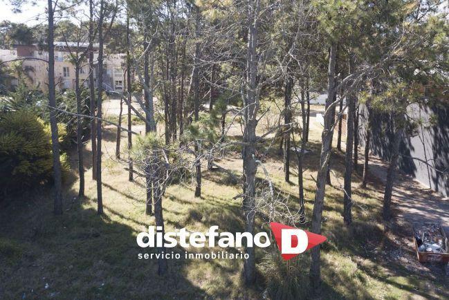 Lote . | BUNGE, INTENDENTE