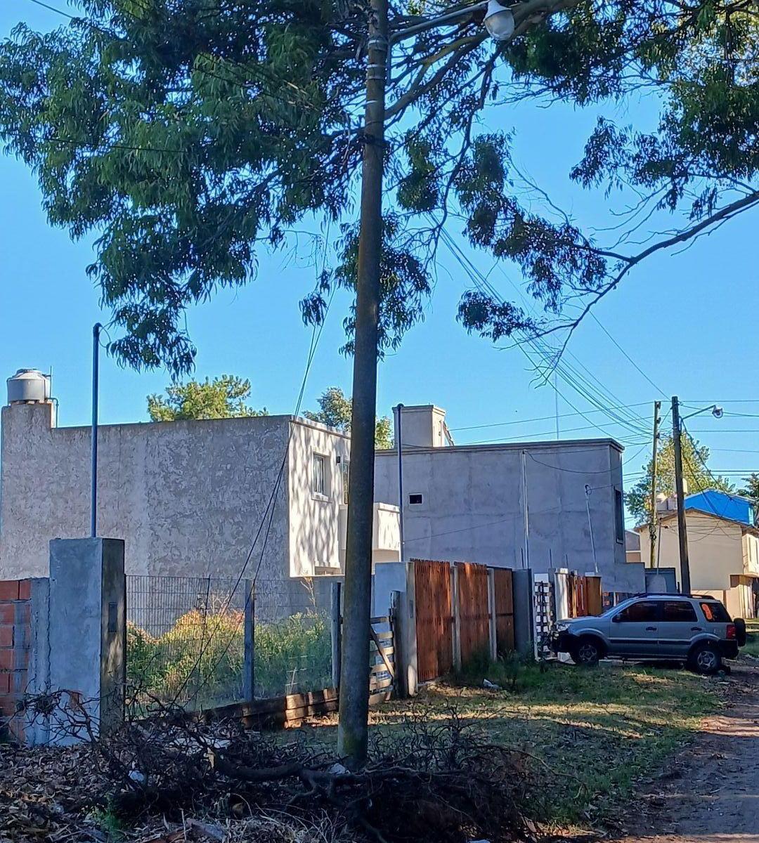 Lote . | GABOTO 2698