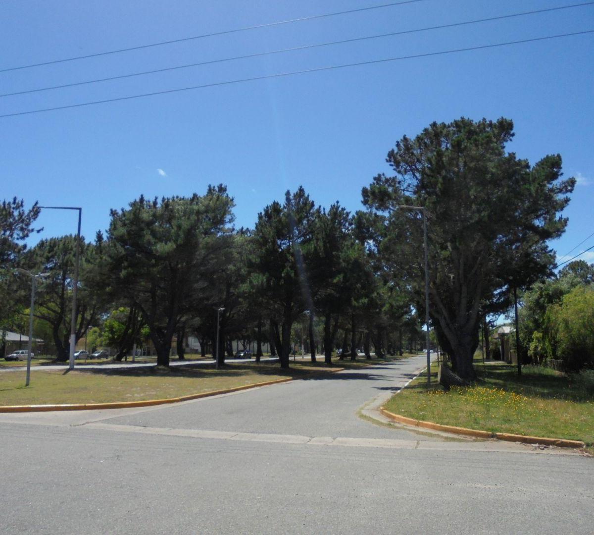 Lote . | Av. San Bernardo