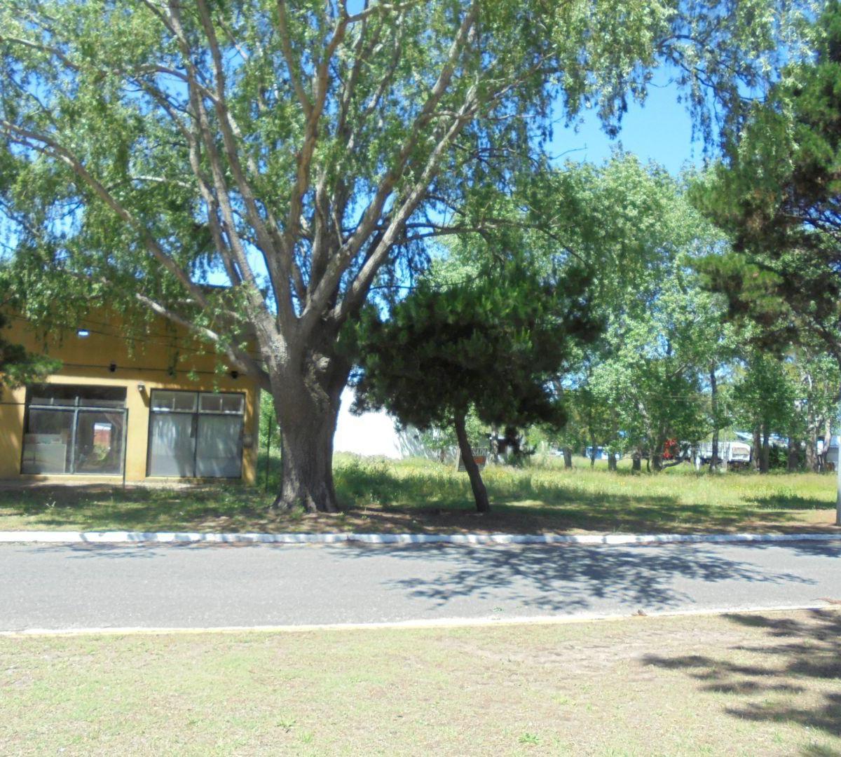 Lote . | AV. SAN BERNARDO