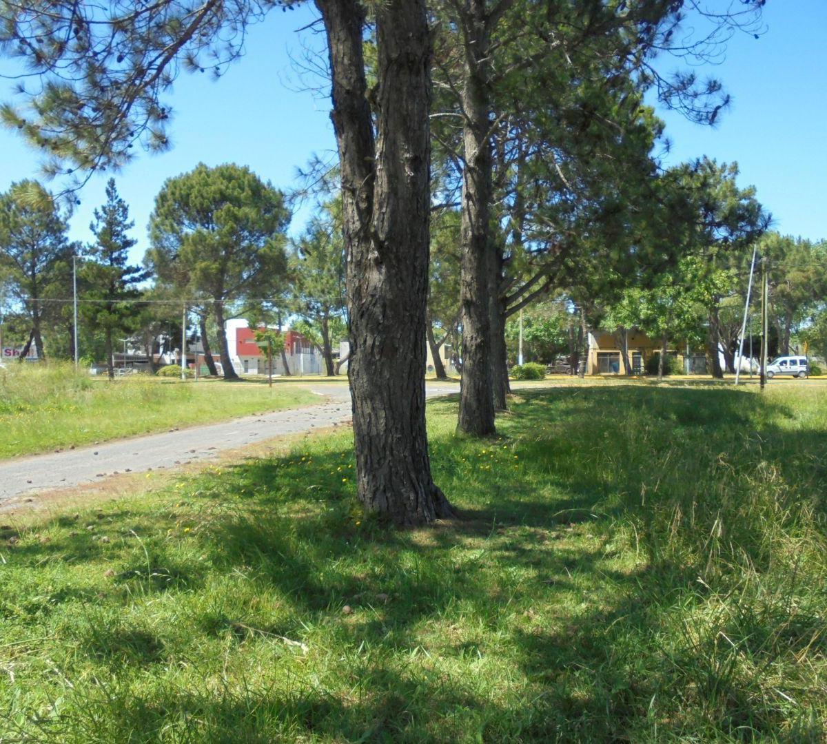 Lote. | Av San Bernardo 3