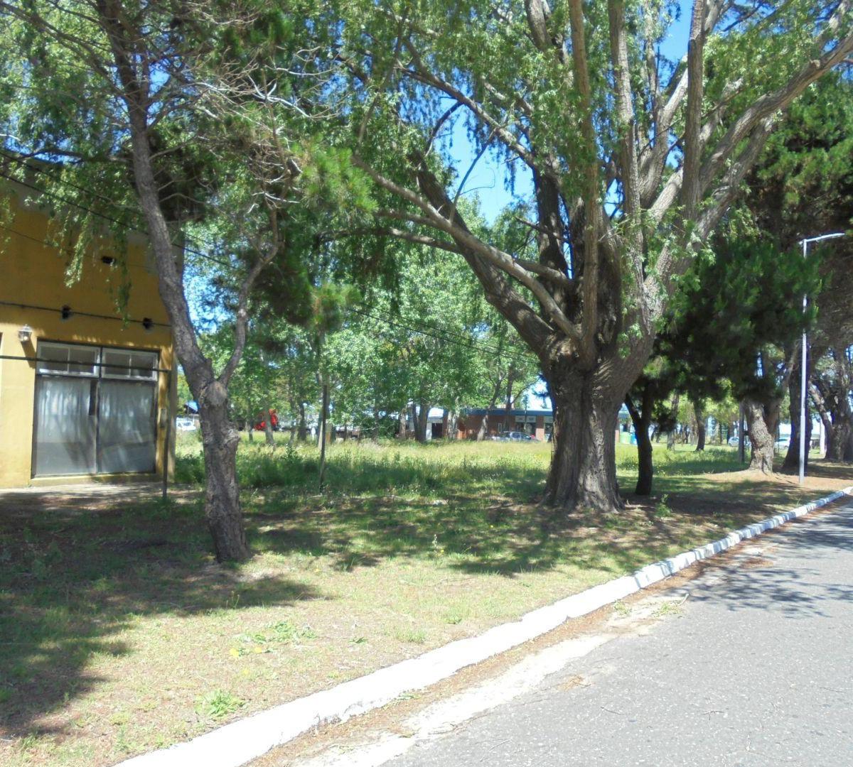 Lote. | Av San Bernardo 2